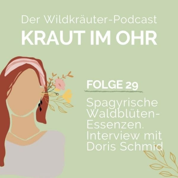 Kraut im Ohr_Folge 29_Kraut Interview_Spagyrische Waldblüten-Essenzen