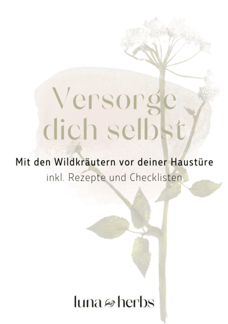 Versorge dich selbst mit Wildkräutern - der kostenlose Wildkräuter Guide von Luna Herbs
